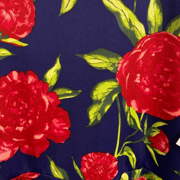 NWT Lularoe Nicole Dress, SZ 2X - Picture 3 of 7